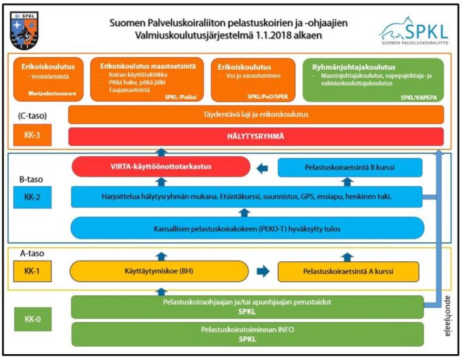 Koulutuskorikaavio